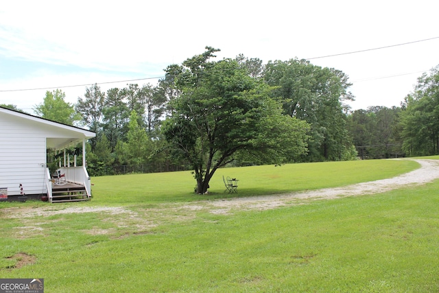 124 Wynn Rd, Mcdonough, GA 30252 - view of grassy yard