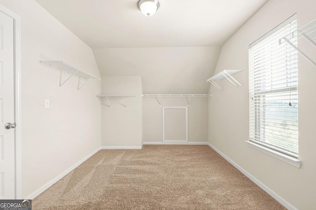 321 Shannon Ct, Mcdonough, GA 30252 - walk in closet with lofted ceiling and carpet floors