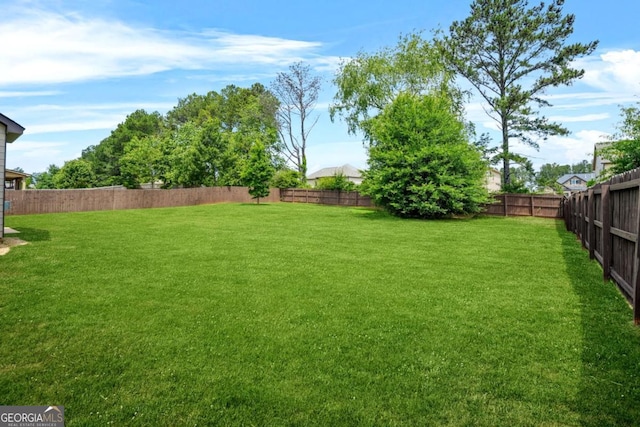 321 Shannon Ct, Mcdonough, GA 30252 - view of yard