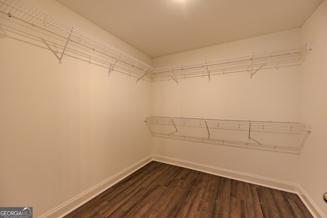 spacious closet with dark wood-type flooring