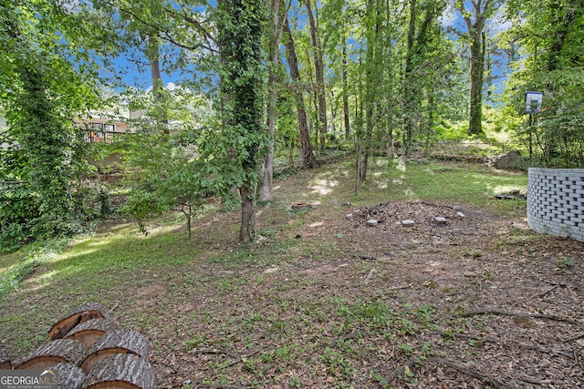 2950 Springfield Ct SW, College Park, GA 30349 - view of yard