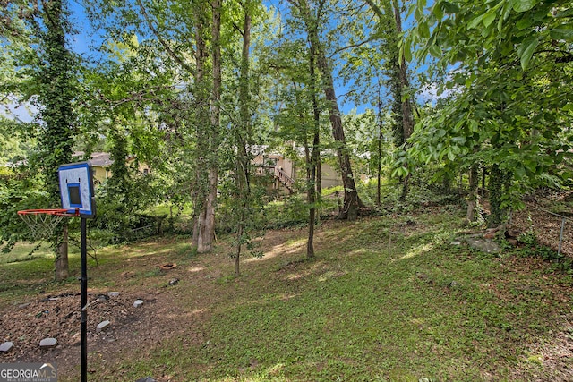 2950 Springfield Ct SW, College Park, GA 30349 - view of yard
