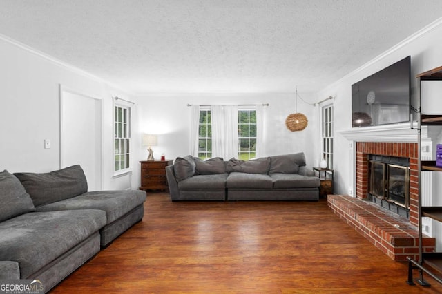 living area featuring wood finished floors, crown molding, a fireplace, and a textured ceiling
