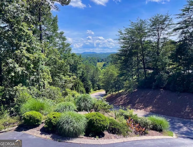 view of mountain background featuring a forest