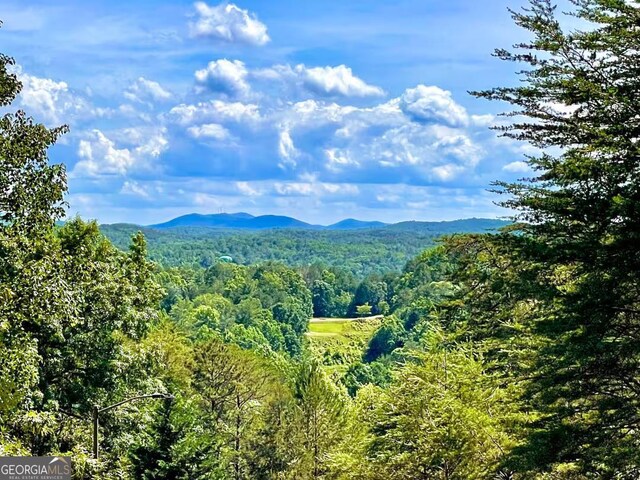 mountain view featuring a heavily wooded area