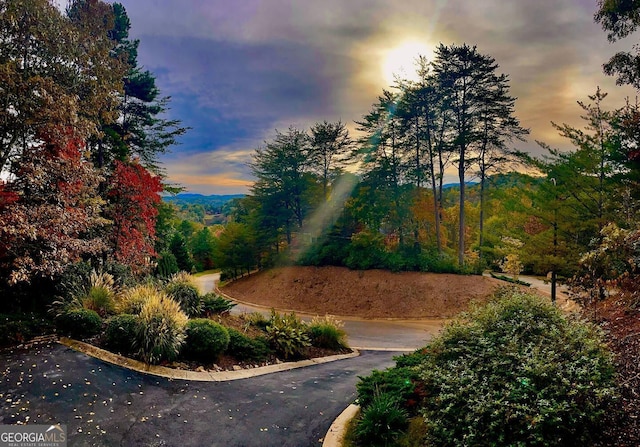 view of yard at dusk