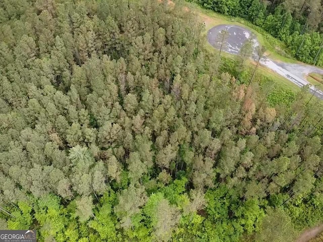 LOT37 Pine Grove Ln, East Ellijay, GA 30540