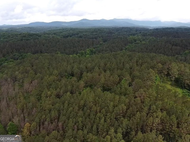 LOT37 Pine Grove Ln, East Ellijay, GA 30540