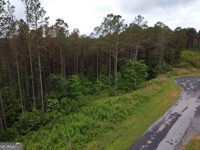 LOT37 Pine Grove Ln, East Ellijay, GA 30540