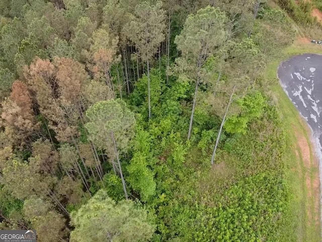 LOT37 Pine Grove Ln, East Ellijay, GA 30540
