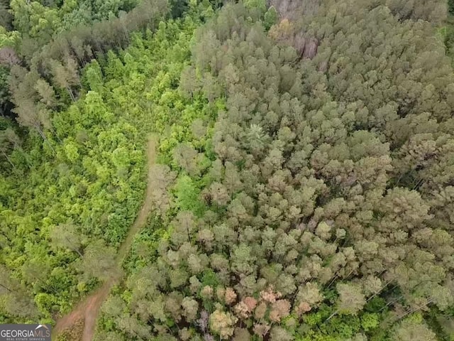 LOT37 Pine Grove Ln, East Ellijay, GA 30540