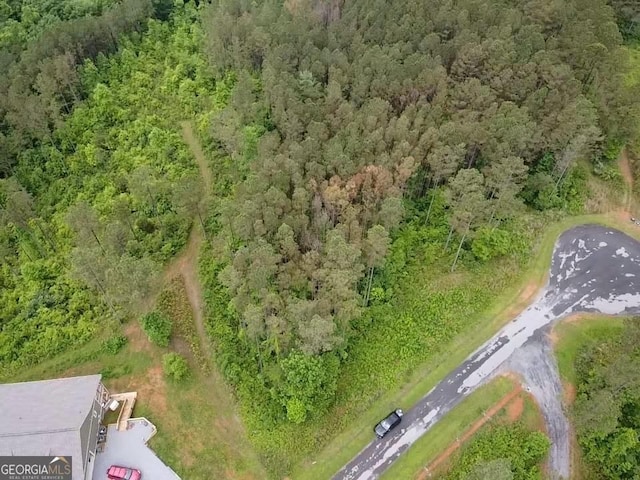 LOT37 Pine Grove Ln, East Ellijay, GA 30540