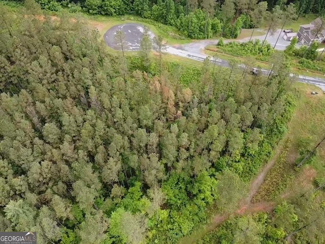 LOT37 Pine Grove Ln, East Ellijay, GA 30540