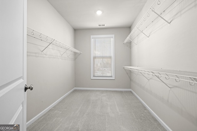 896 Farmstead Rd Unit 162, Suwanee, GA 30024 - spacious closet with carpet flooring
