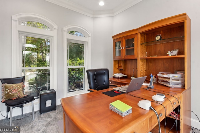 364 Osprey Cir, Saint Marys, GA 31558 - carpeted office space featuring ornamental molding, plenty of natural light, and a high ceiling