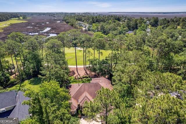 364 Osprey Cir, Saint Marys, GA 31558 - bird's eye view of a large body of water