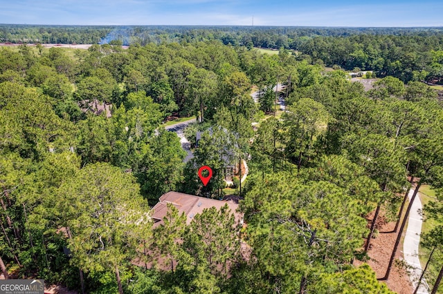 364 Osprey Cir, Saint Marys, GA 31558 - aerial view of a forest