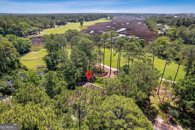 364 Osprey Cir, Saint Marys, GA 31558 - aerial view of a local golf course, a nearby body of water, and a heavily wooded area
