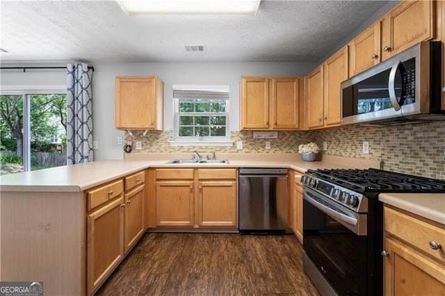 411 Sugar Maple Ct, Canton, GA 30114 - kitchen featuring appliances with stainless steel finishes, a peninsula, dark wood-type flooring, a sink, and plenty of natural light