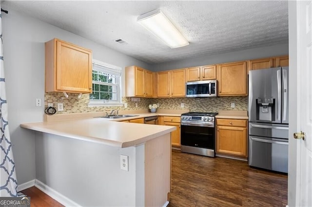 411 Sugar Maple Ct, Canton, GA 30114 - kitchen with appliances with stainless steel finishes, a sink, a peninsula, dark wood-style flooring, and decorative backsplash