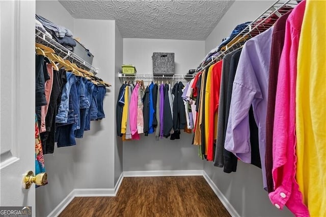411 Sugar Maple Ct, Canton, GA 30114 - spacious closet with wood finished floors