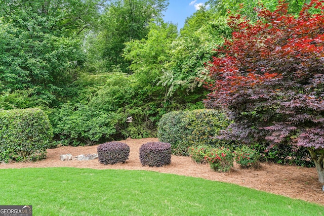 1610 Turtle Pond Dr, Hoschton, GA 30548 - view of grassy yard