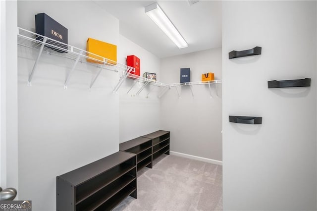 1347 Elderwood Way, Cumming, GA 30041 - spacious closet featuring carpet floors