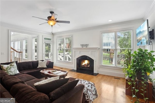 1029 Ector Dr NW, Kennesaw, GA 30152 - living area featuring a ceiling fan, a lit fireplace, wood finished floors, and ornamental molding