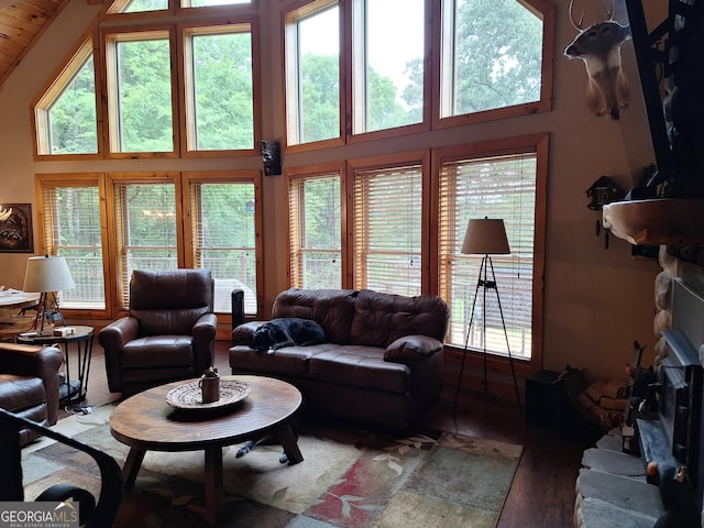living area featuring wood finished floors, plenty of natural light, and a towering ceiling
