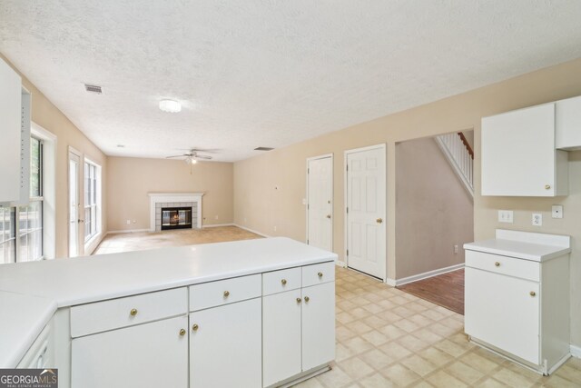111 Trellis Ct, Acworth, GA 30101 - kitchen featuring light floors, a ceiling fan, light countertops, baseboards, and a textured ceiling