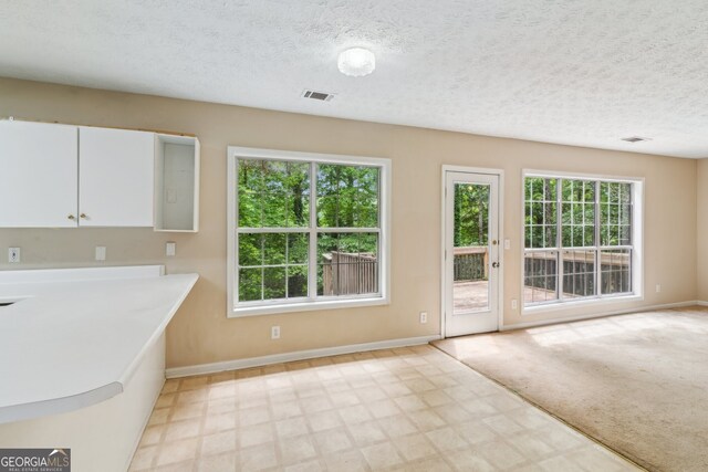 111 Trellis Ct, Acworth, GA 30101 - unfurnished dining area with baseboards, plenty of natural light, a textured ceiling, and light flooring