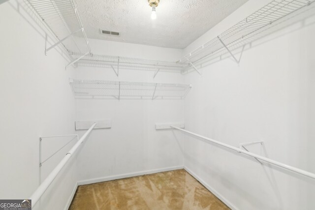 111 Trellis Ct, Acworth, GA 30101 - spacious closet featuring light colored carpet
