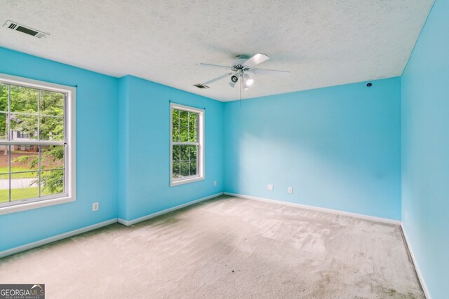 111 Trellis Ct, Acworth, GA 30101 - carpeted spare room with plenty of natural light, baseboards, a ceiling fan, and a textured ceiling