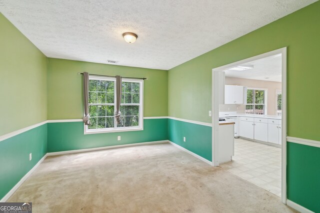 111 Trellis Ct, Acworth, GA 30101 - unfurnished room with light colored carpet, a textured ceiling, and baseboards