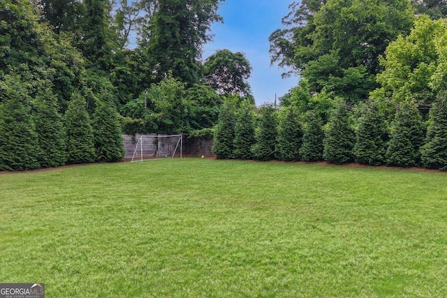 201 Dobbs Rd, Woodstock, GA 30188 - view of yard with an area for soccer
