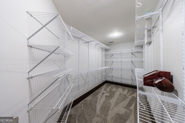 walk in closet featuring carpet floors