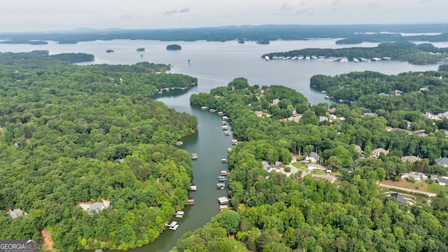 aerial view of a nearby body of water and a heavily wooded area