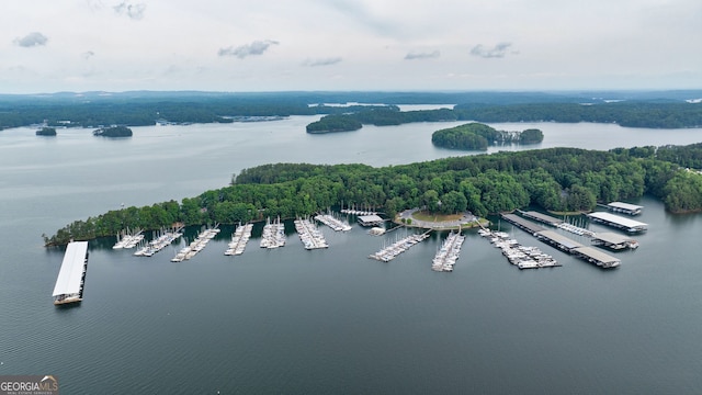 drone / aerial view of numerous boat docks and a large body of water