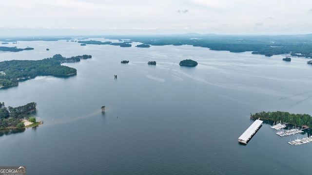 bird's eye view of a nearby body of water