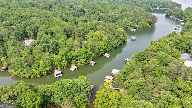 aerial overview of property's location with a nearby body of water and a forest