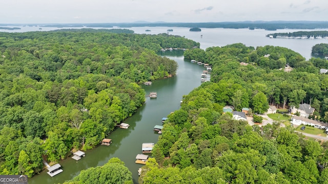 bird's eye view of a nearby body of water and a forest