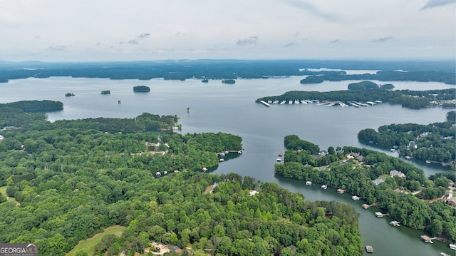 aerial view of a nearby body of water and a heavily wooded area