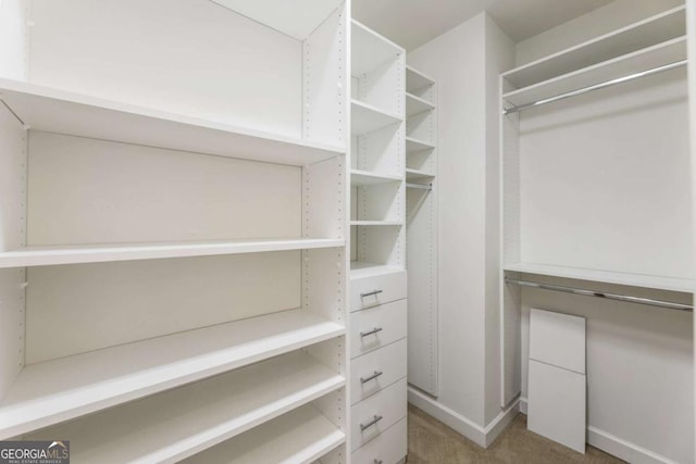 2165 Mcfarlin Ln, Alpharetta, GA 30004 - walk in closet with carpet