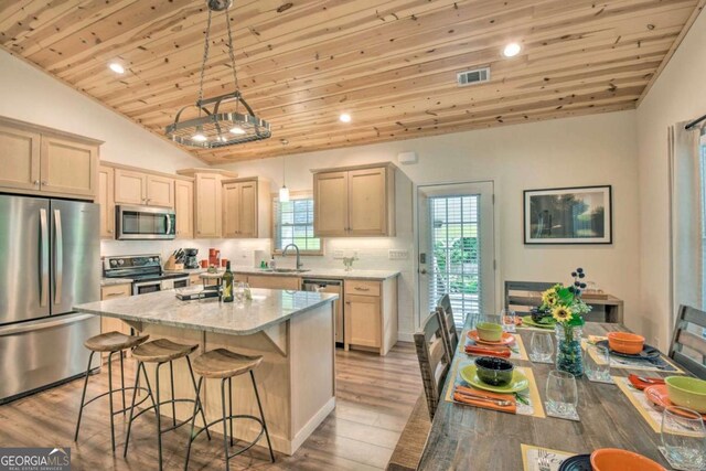 255 S Grove St, Dahlonega, GA 30533 - kitchen featuring appliances with stainless steel finishes, a sink, lofted ceiling, wooden ceiling, and a breakfast bar