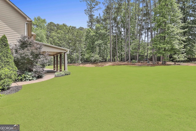 view of grassy yard