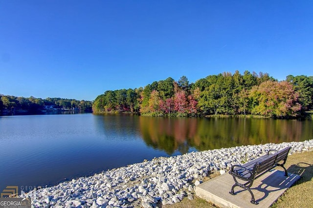 water view with a heavily wooded area