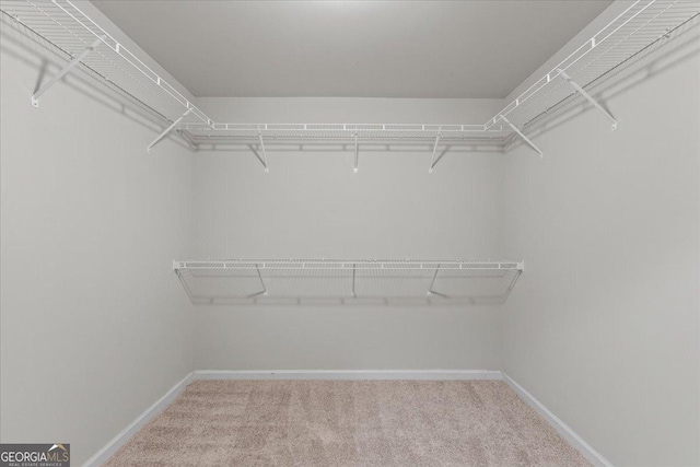 360 Turtle Creek Dr, Winder, GA 30680 - spacious closet with light colored carpet