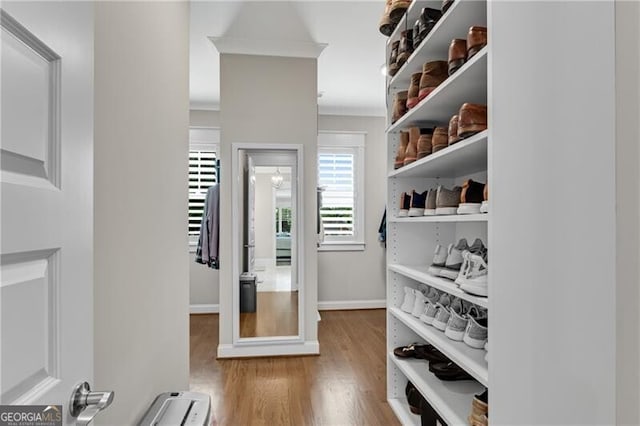 5844 Yoshino Cherry Ln, Braselton, GA 30517 - walk in closet featuring wood finished floors