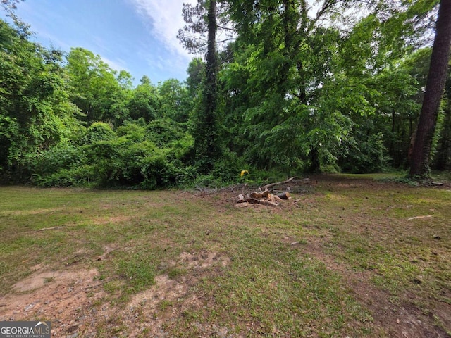 2422 Williams Mill Rd, Zebulon, GA 30295 - view of green lawn with a forest view