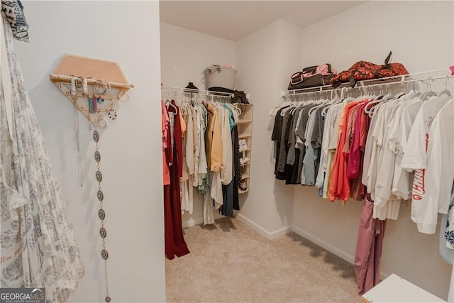 spacious closet featuring carpet floors